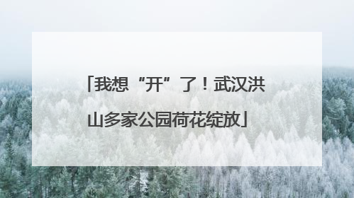 我想“开”了！武汉洪山多家公园荷花绽放