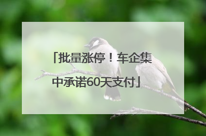 批量涨停！车企集中承诺60天支付