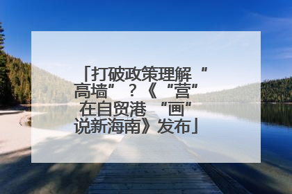 打破政策理解“高墙”？《“营”在自贸港 “画”说新海南》发布
