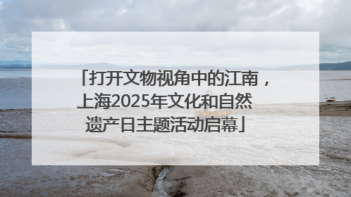 打开文物视角中的江南，上海2025年文化和自然遗产日主题活动启幕