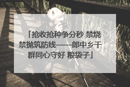 抢收抢种争分秒 禁烧禁抛筑防线——郎中乡干群同心守好 粮袋子
