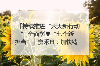 持续推进“六大新行动 ” 全面彰显“七个新担当”｜嘉禾县：加快铸造行业提档升级 助力绿色高质量发展