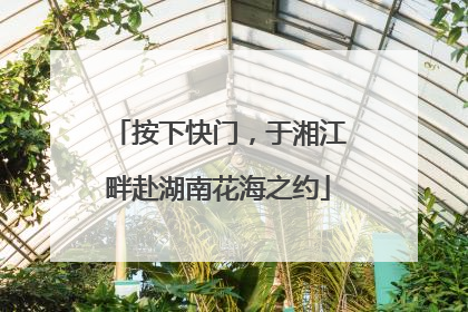 按下快门，于湘江畔赴湖南花海之约