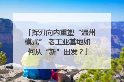 挥刃向内重塑“温州模式” 老工业基地如何从“新”出发？