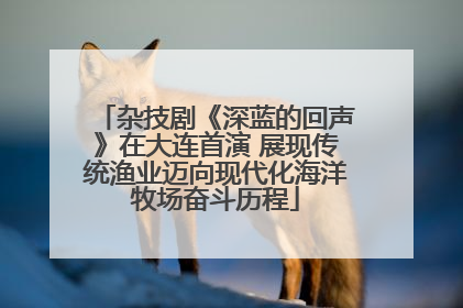 杂技剧《深蓝的回声》在大连首演 展现传统渔业迈向现代化海洋牧场奋斗历程