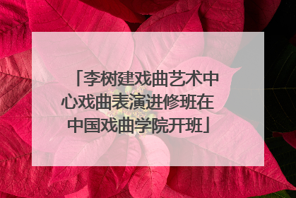 李树建戏曲艺术中心戏曲表演进修班在中国戏曲学院开班