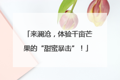 来澜沧，体验千亩芒果的“甜蜜暴击”！