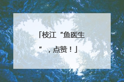 枝江“鱼医生”，点赞！