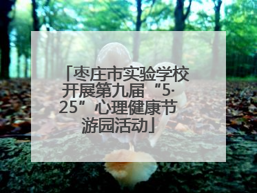 枣庄市实验学校开展第九届“5·25”心理健康节游园活动