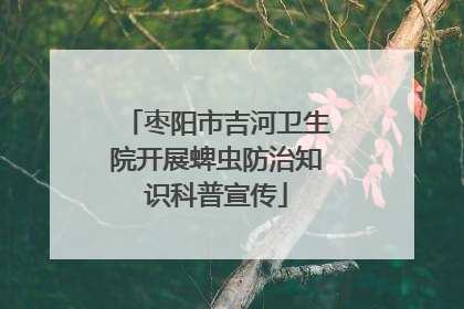枣阳市吉河卫生院开展蜱虫防治知识科普宣传
