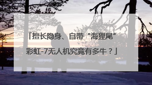 擅长隐身、自带“海狸尾” 彩虹-7无人机究竟有多牛？