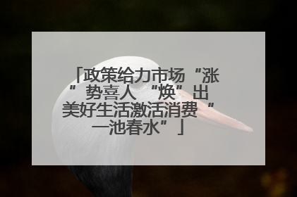 政策给力市场“涨”势喜人 “焕”出美好生活激活消费“一池春水”