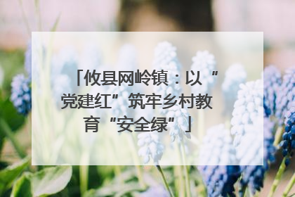 攸县网岭镇：以“党建红”筑牢乡村教育“安全绿”