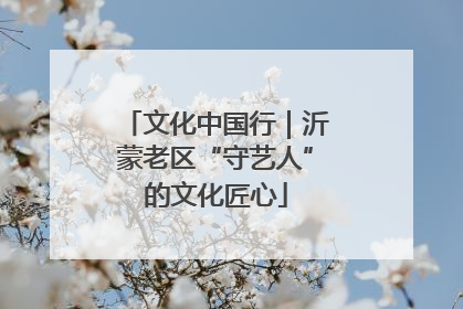 文化中国行｜沂蒙老区“守艺人”的文化匠心