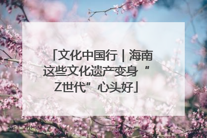 文化中国行｜海南这些文化遗产变身“Z世代”心头好