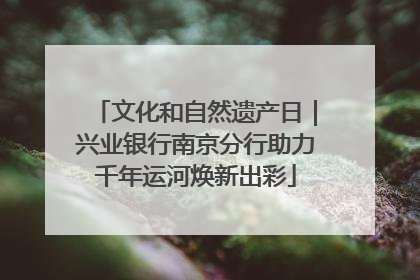 文化和自然遗产日｜兴业银行南京分行助力千年运河焕新出彩