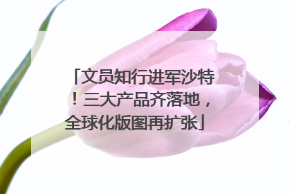 文员知行进军沙特！三大产品齐落地，全球化版图再扩张