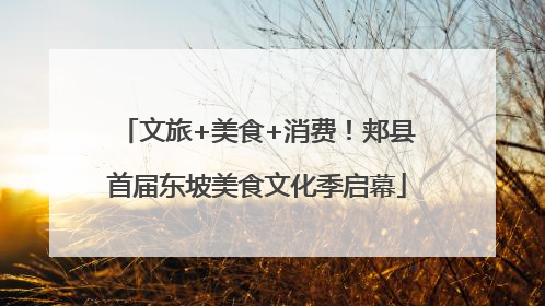 文旅+美食+消费！郏县首届东坡美食文化季启幕