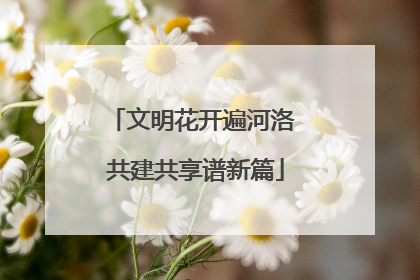 文明花开遍河洛 共建共享谱新篇