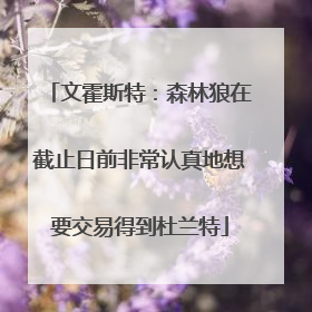 文霍斯特：森林狼在截止日前非常认真地想要交易得到杜兰特