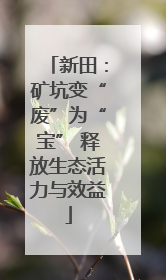 新田：矿坑变“废”为“宝” 释放生态活力与效益