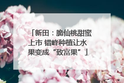 新田：脆仙桃甜蜜上市 错峰种植让水果变成“致富果”