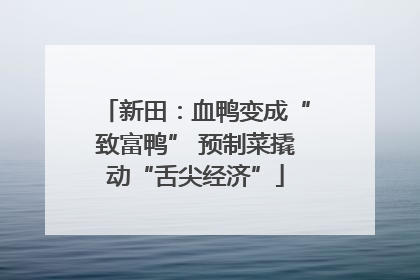 新田：血鸭变成“致富鸭” 预制菜撬动“舌尖经济”