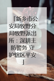 新乡市公安局牧野分局牧野派出所：深耕主防警务 守护辖区平安