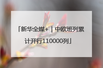 新华全媒+｜中欧班列累计开行110000列
