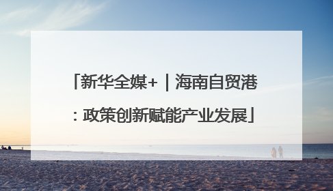 新华全媒+｜海南自贸港：政策创新赋能产业发展