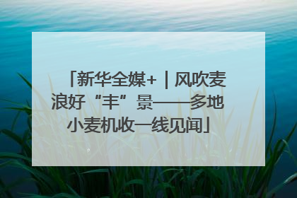 新华全媒+｜风吹麦浪好“丰”景——多地小麦机收一线见闻