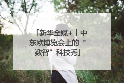新华全媒+丨中东欧博览会上的“数智”科技秀