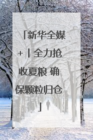 新华全媒+丨全力抢收夏粮 确保颗粒归仓