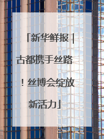 新华鲜报｜古都携手丝路！丝博会绽放新活力