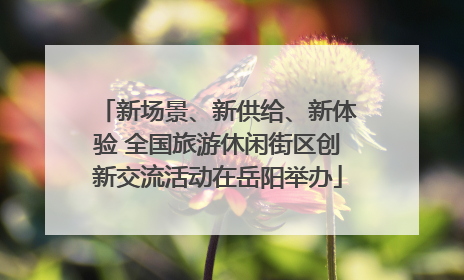 新场景、新供给、新体验 全国旅游休闲街区创新交流活动在岳阳举办