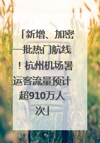 新增、加密一批热门航线！杭州机场暑运客流量预计超910万人次