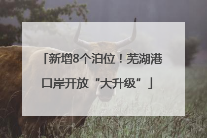 新增8个泊位！芜湖港口岸开放“大升级”
