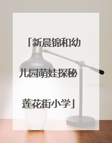 新晨锦和幼儿园萌娃探秘莲花街小学