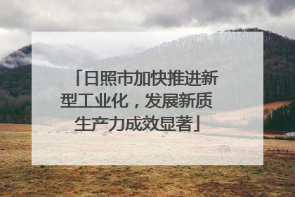 日照市加快推进新型工业化，发展新质生产力成效显著