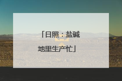 日照：盐碱地里生产忙