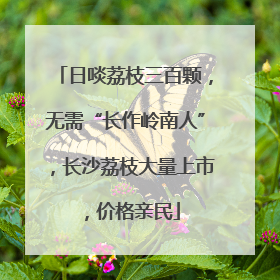 日啖荔枝三百颗，无需“长作岭南人”，长沙荔枝大量上市，价格亲民