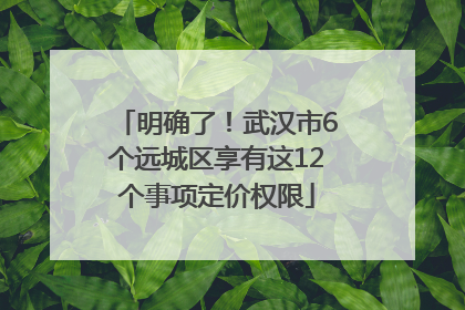 明确了！武汉市6个远城区享有这12个事项定价权限