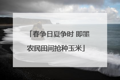 春争日夏争时 即墨农民田间抢种玉米