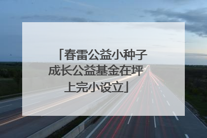 春雷公益小种子成长公益基金在坪上完小设立