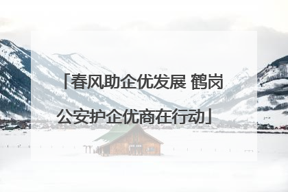 春风助企优发展 鹤岗公安护企优商在行动