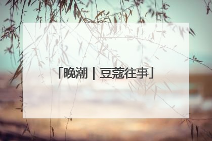 晚潮｜豆蔻往事