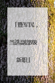 暨军民，当选副部级新职