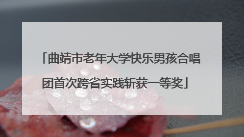 曲靖市老年大学快乐男孩合唱团首次跨省实践斩获一等奖