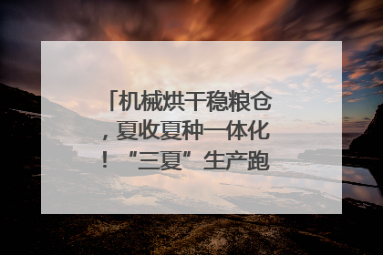 机械烘干稳粮仓，夏收夏种一体化！“三夏”生产跑出加速度｜麦报