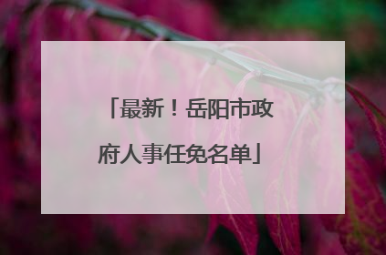 最新！岳阳市政府人事任免名单